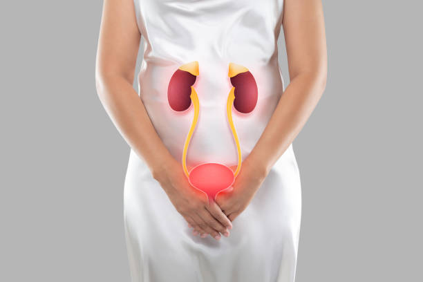 dor ao urinar infecção urinária