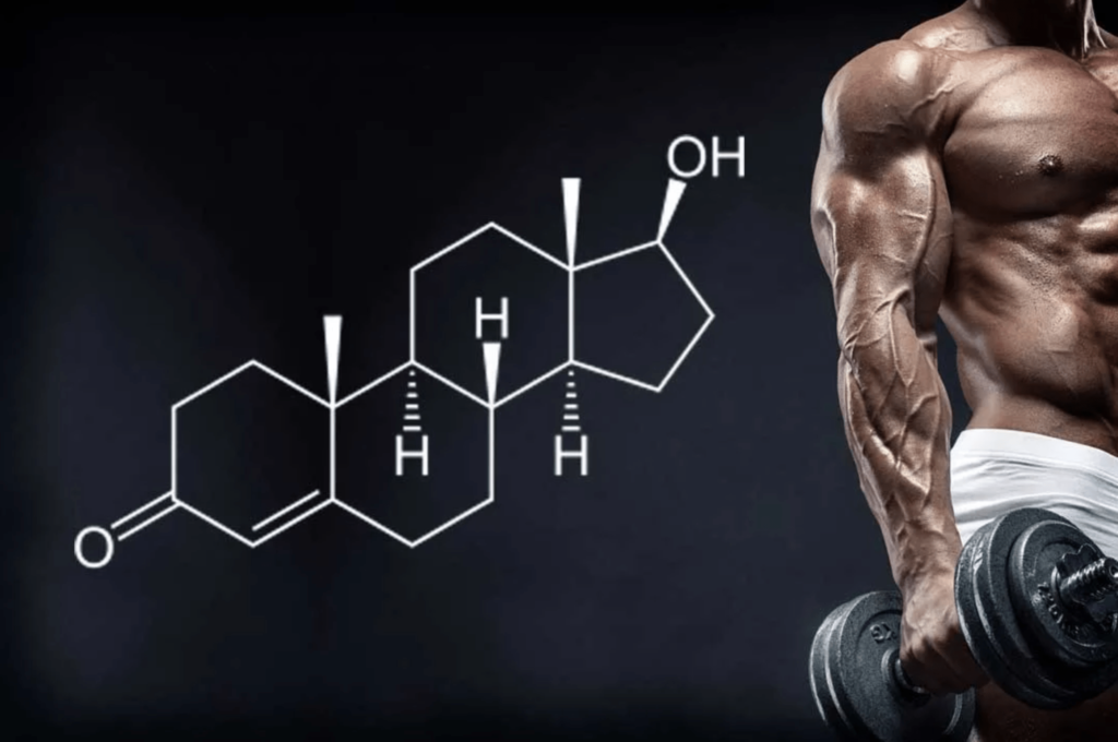 TEstosterona