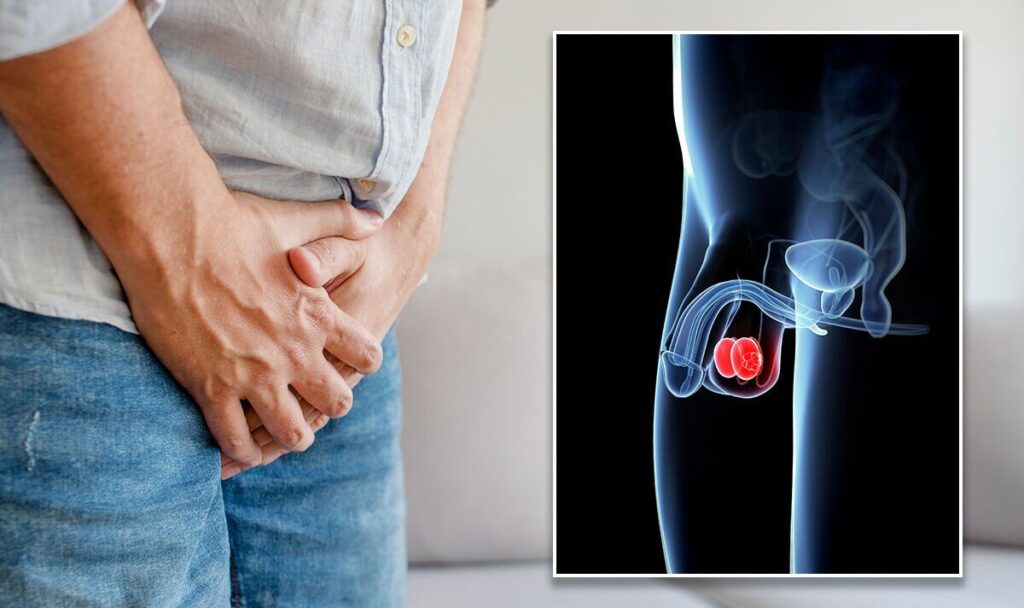 Dor testicular